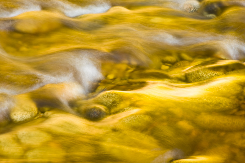 Tanin Stained Water In Late Afternoon Light